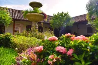 Hotel Boutique Adela Hotels in 