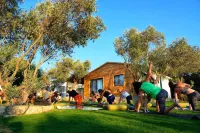 Bir Dem Urla Hotels in Yagcilar