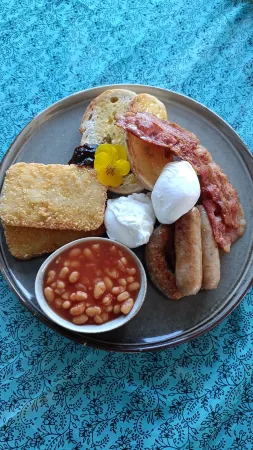 Beach Lodge Motels Отели в г. Данидин