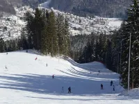 Boutique Hotel Forest Retreat Hotels in Busteni
