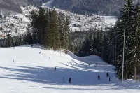 Boutique Hotel Forest Retreat