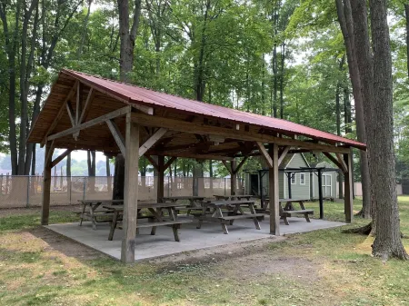 Hidden Haven Cottages Отели в г. Ридер Тауншип