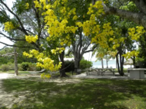 Rock Reef Resort Hotels in Key Largo
