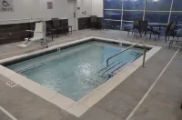 Fairfield Inn & Suites Nashville Airport - spa