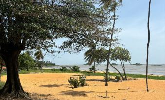 Trésor Caché d'Amazonie Oasis de Calme