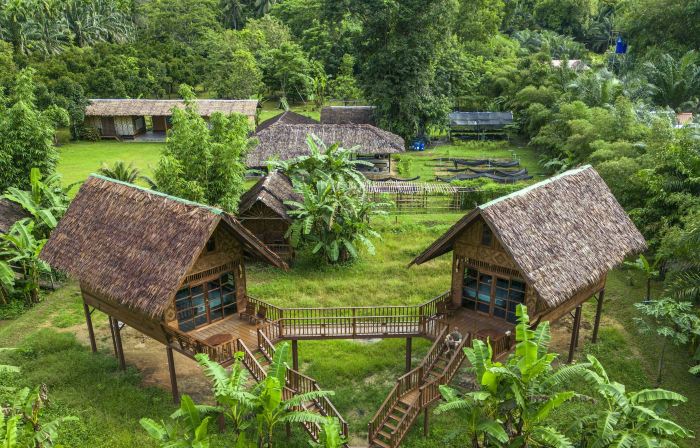 Our Jungle Camp