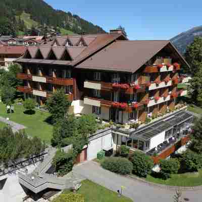 Hotel Steinmattli Hotel Exterior