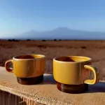 Amboseli Amanya Lodge