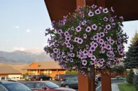 Yellowstone Village Inn and Suites - parking