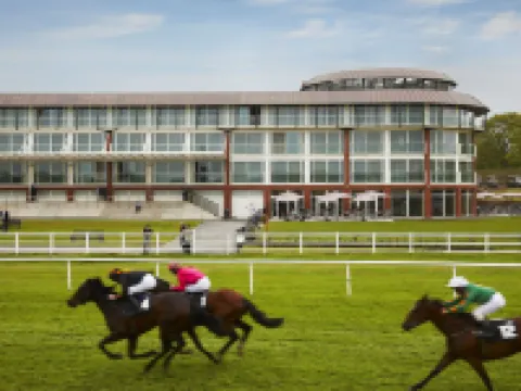 Lingfield Park Marriott Hotel & Country Club Hotels in Lingfield