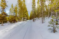 Wild Woods House - Unit 1: Woodsy Retreat in OR - 3BR 2BA - Sleeps 9 - Creekside Bliss