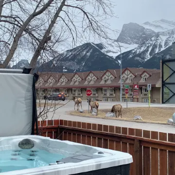 P1 - Private Hot Tub - 3 Bedroom Home - Mountain View