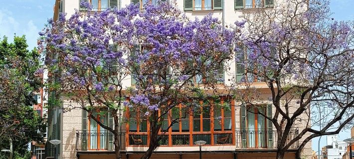 NOU Baleares Hotéis em Palma de Mallorca