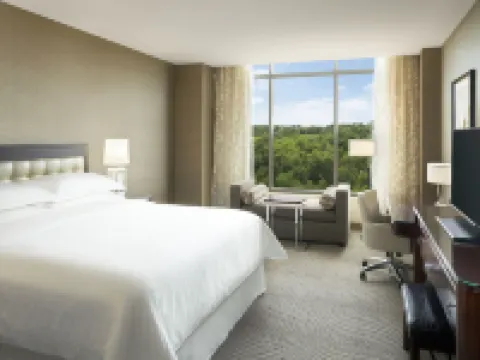 Sheraton Austin Georgetown Hotel & Conference Center Hotels in Georgetown