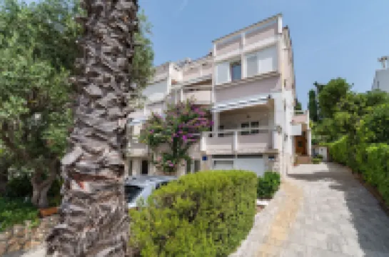 Cozy Apartment Branka with Nice Garden 6