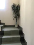 Living at Home