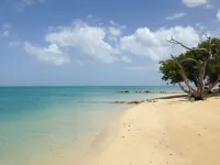 Fish Tobago Guesthouse Hotels in Black Rock
