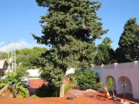 Rancho Grande - Condos