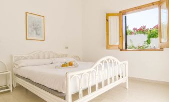 Residence Albatros