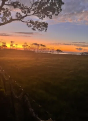 カリカリ ロッジ