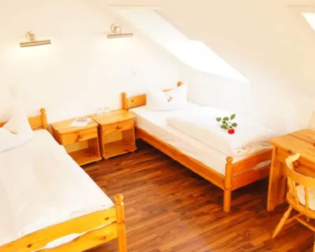 ホテル ガルニ アム ヘシェンバーグ マインツのホテル