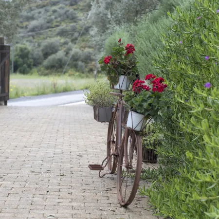 Opora Country Living