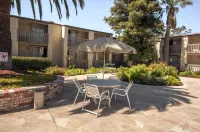 紅木城晚安旅館