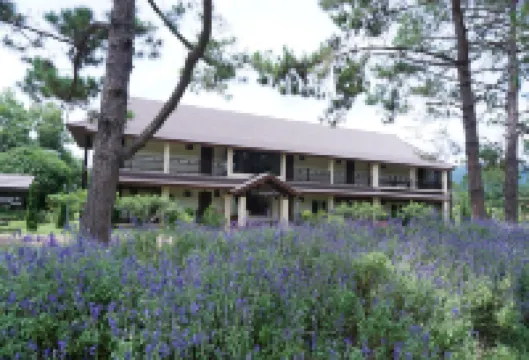 ไร่จุฑามาศรีสอร์ท โรงแรมในอำเภอ ทุ่งช้าง