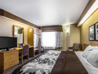 كواليتي إن مواب سليكروك أريا فنادق في مواب