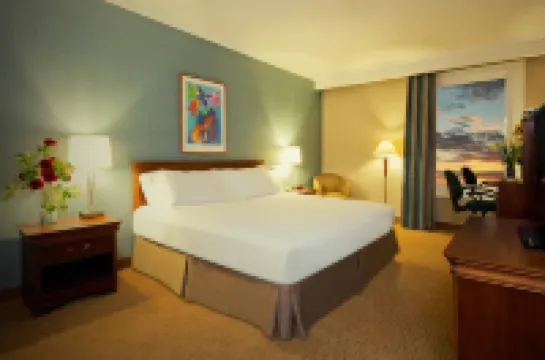 유로빌딩 익스프레스 엘 티그레  호텔