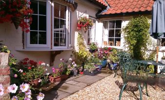 White Cottage B and B