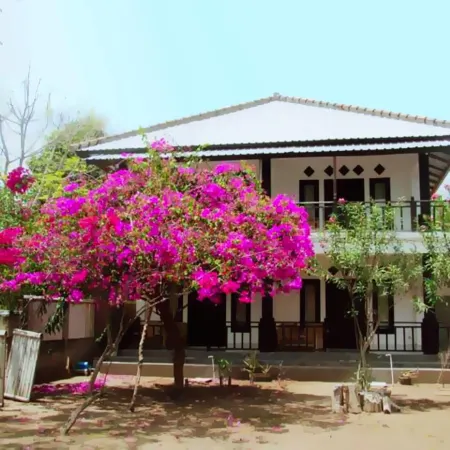 The Rabbit Tree Hostel