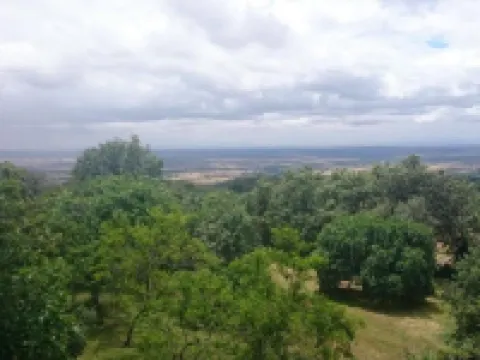 Hostal Los Castañuelos