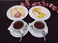 Puri Mega Hotel