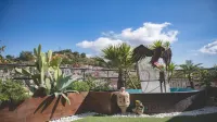 B&B Panoramic