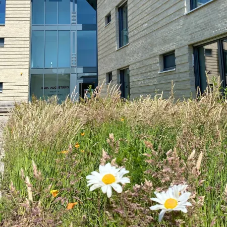 Appartements Haus Augustinus