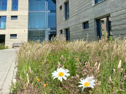 Appartements Haus Augustinus