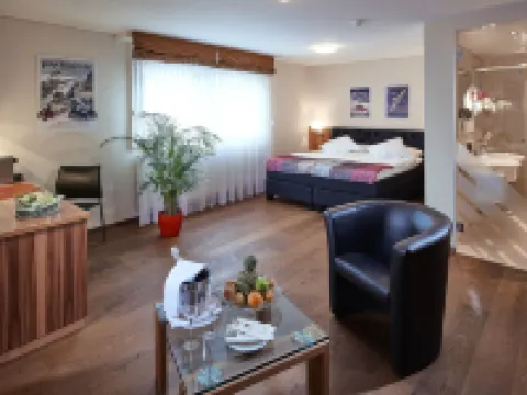 Hotel Ambassador Hotels in Brig