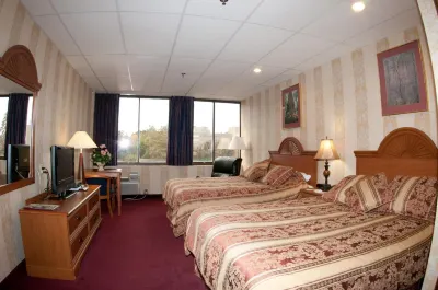 Amsterdam Hotel Hotels in 