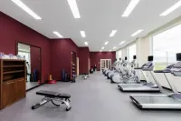 Hilton Garden Inn Salamanca - Gym