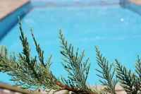 Birgi Rukim Otel Hotels in Odemis
