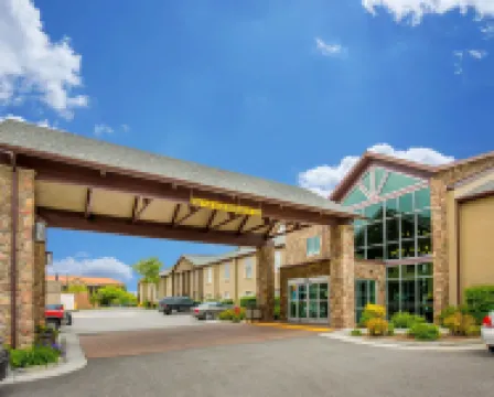 市中心舒適酒店 鄰近家譜圖書館的酒店