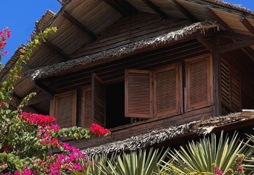 망가 소아 로지 뷰