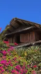 Manga Soa Lodge Hotels in 