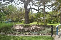 Sindola Safari Lodge Hotels in Foni Bondali