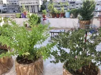 Sun Rise Hotel & Hostel & Tours - 2-Sterne