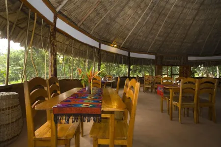 Cotton Tree Lodge Отели в г. Пунта-Горда