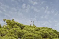 Appartamento a Villa Montuoro by Wonderful Italy