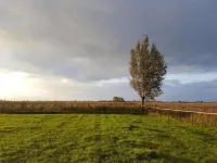 Bungalow by Water Near Rotterdam Hotels in Simonshaven