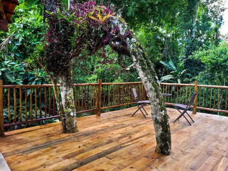 News Hospedagem Отели рядом с достопримечательностью «Centro Cultural SESC Paraty»